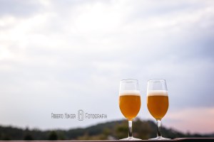 elopement wedding, Meissner Hof Hotel, hotel em monte verde ensaios fotográficos, fotógrafo em monte verde minas gerais