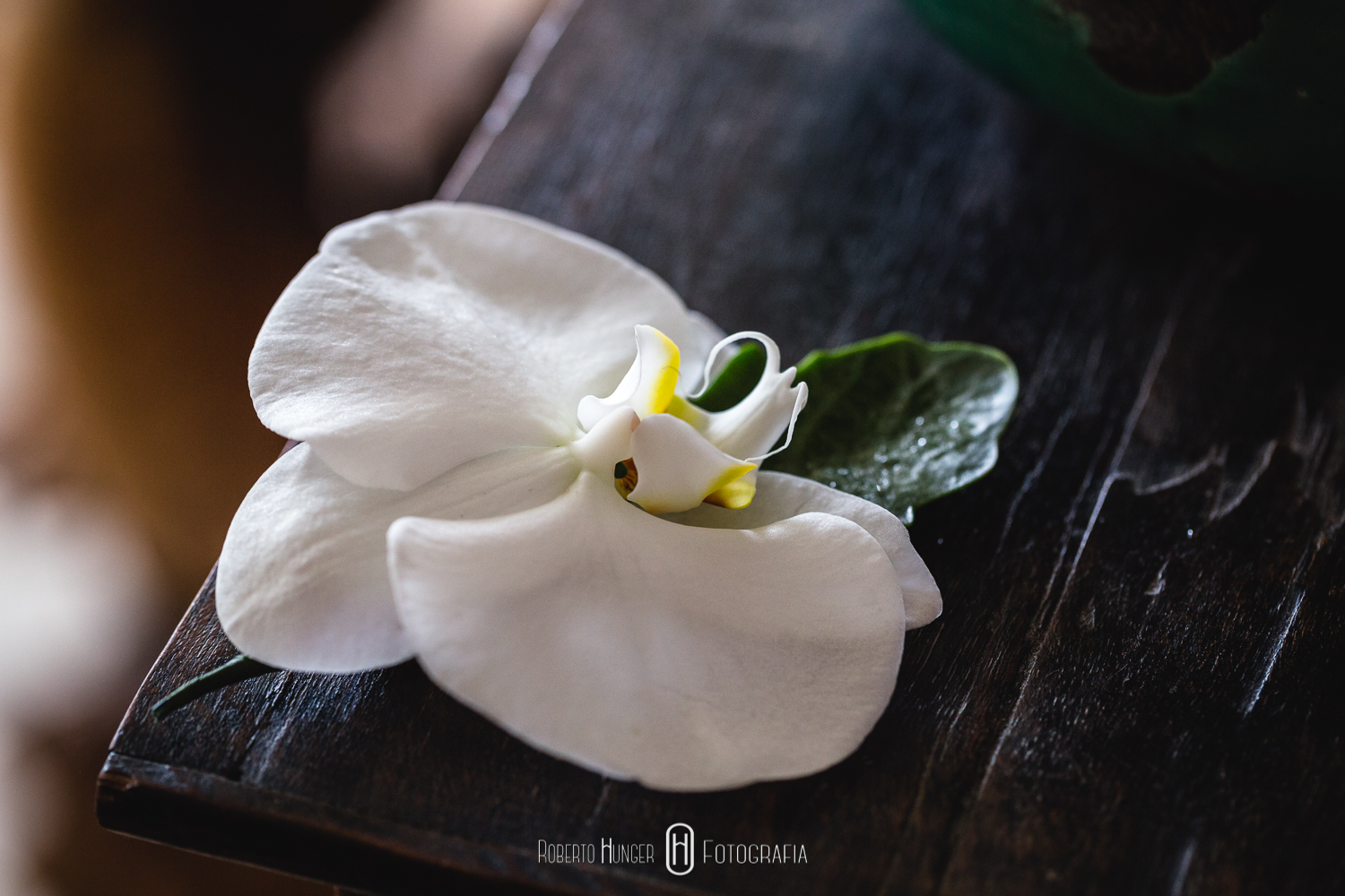 Elopement Wedding é um estilo de casamento no qual o noivo e a noiva optam por viajar para algum lugar distante ou fora da cidade e casar sem avisar a família e amigos