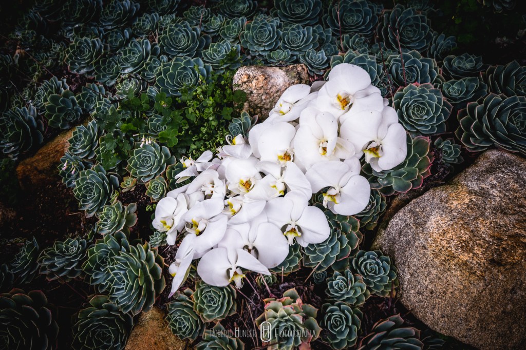 casamento em monte verde, Elopement Wedding, Elopement Wedding brazil, Elopement Wedding minas gerais, contato fotógrafo monte verde, fotos noivas monte verde, casamentos montanhas minas gerais, casamento a dois, noivos sozinhos, casamento distante, onde casar em monte verde, hotel pousada para Elopement Wedding , Elopement Wedding minas gerais