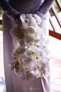 Elopement Wedding é um estilo de casamento no qual o noivo e a noiva optam por viajar para algum lugar distante ou fora da cidade e casar sem avisar a família e amigos