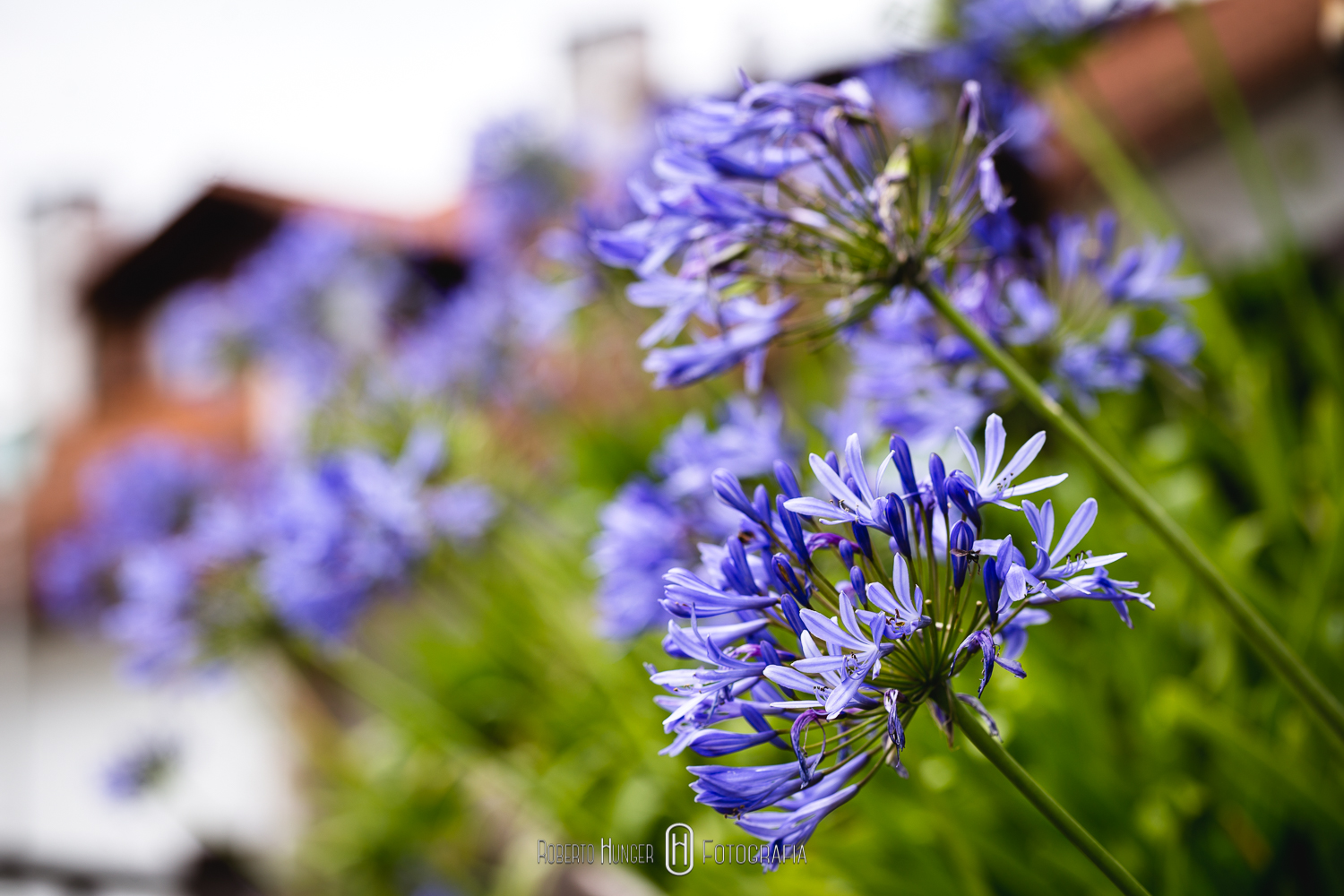 onde casar em minas gerais, sul de minas gerais fotos de casamento, local para making de noiva em itajubá, pouso alegre noivas, cambui casamentos no sul de minas gerais, cidades onde casar ao ar livre em minas gerais, camanducaia e monte verde casamentos.