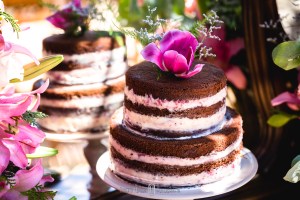 elopement wedding brasil pacotes, blog pé no altar sugestão de elopement wedding brasil, casando nas montanhas