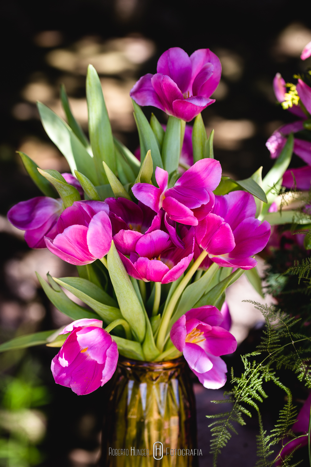 elopement wedding brasil pacotes, blog pé no altar sugestão de elopement wedding brasil, casando nas montanhas