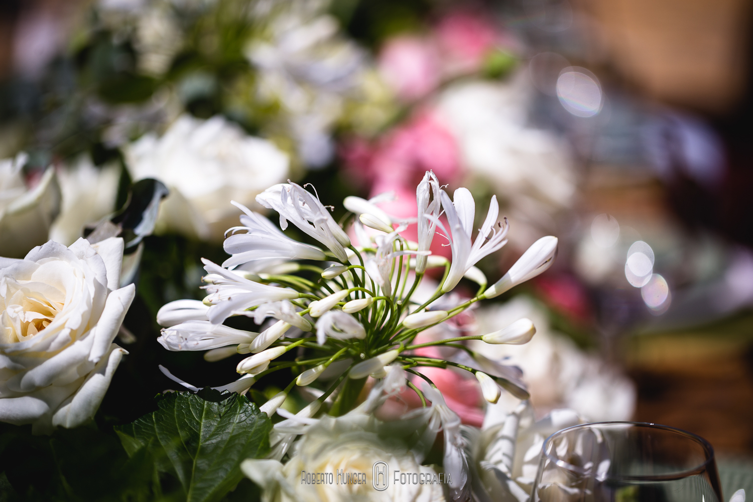 elopement wedding brasil pacotes, blog pé no altar sugestão de elopement wedding brasil, casando nas montanhas
