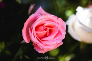 elopement wedding brasil pacotes, blog pé no altar sugestão de elopement wedding brasil, casando nas montanhas