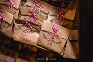 casamentos em cambui e pouso alegre minas gerais, fotógrafo pouso alegre e cambuí, minas gerais fotógrafos de casamentos, fotos de noivas sul de minas