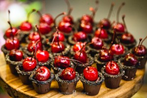 noiva ensaio, fotos d enoivas em campo rústico, convidados em festa de casamento dançando, festa de casamento em cambuí minas gerais, pousada cambui, pousada camuhy, onde casar em camanducaia, itapeva fotografia de casamento, toledo e munhoz fotógrafo, monte verde minas gerais fotografia casamento, extrema e bragança fotografia casamento, casamento rústico